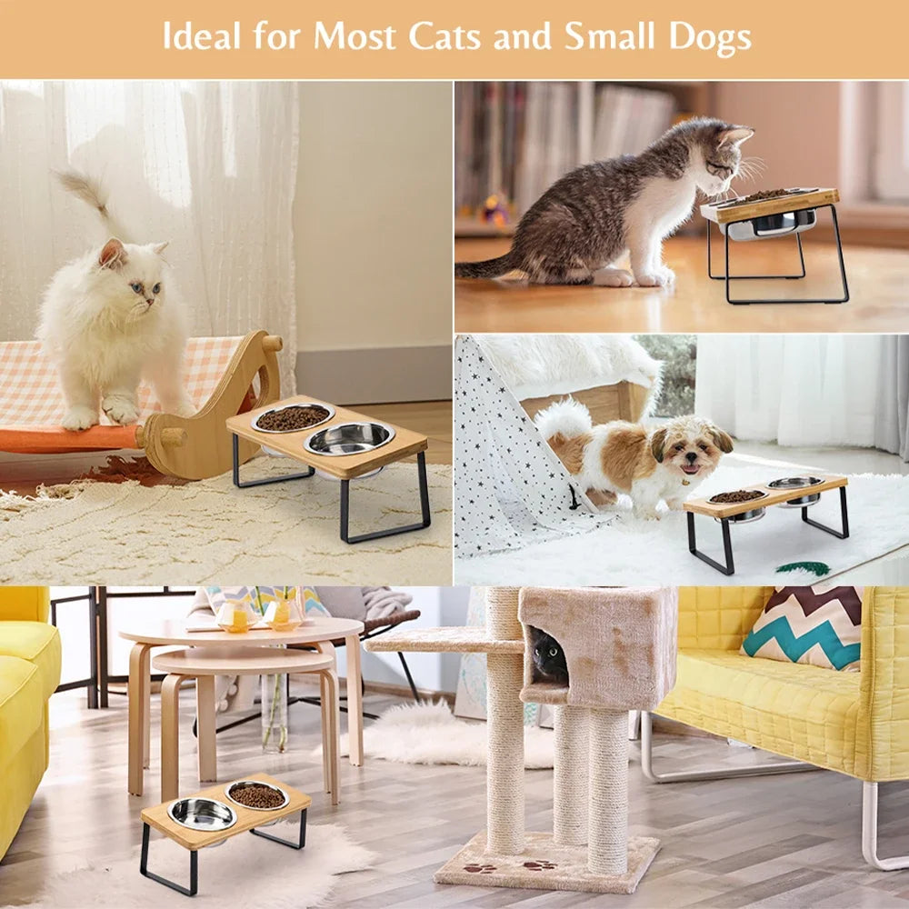 Elevated Cat Bowls 15° Tilted Raised Cat Food Bowls with Wooden Stand Anti Vomiting 2 Stainless Steel Bowls for Cats and Pupp