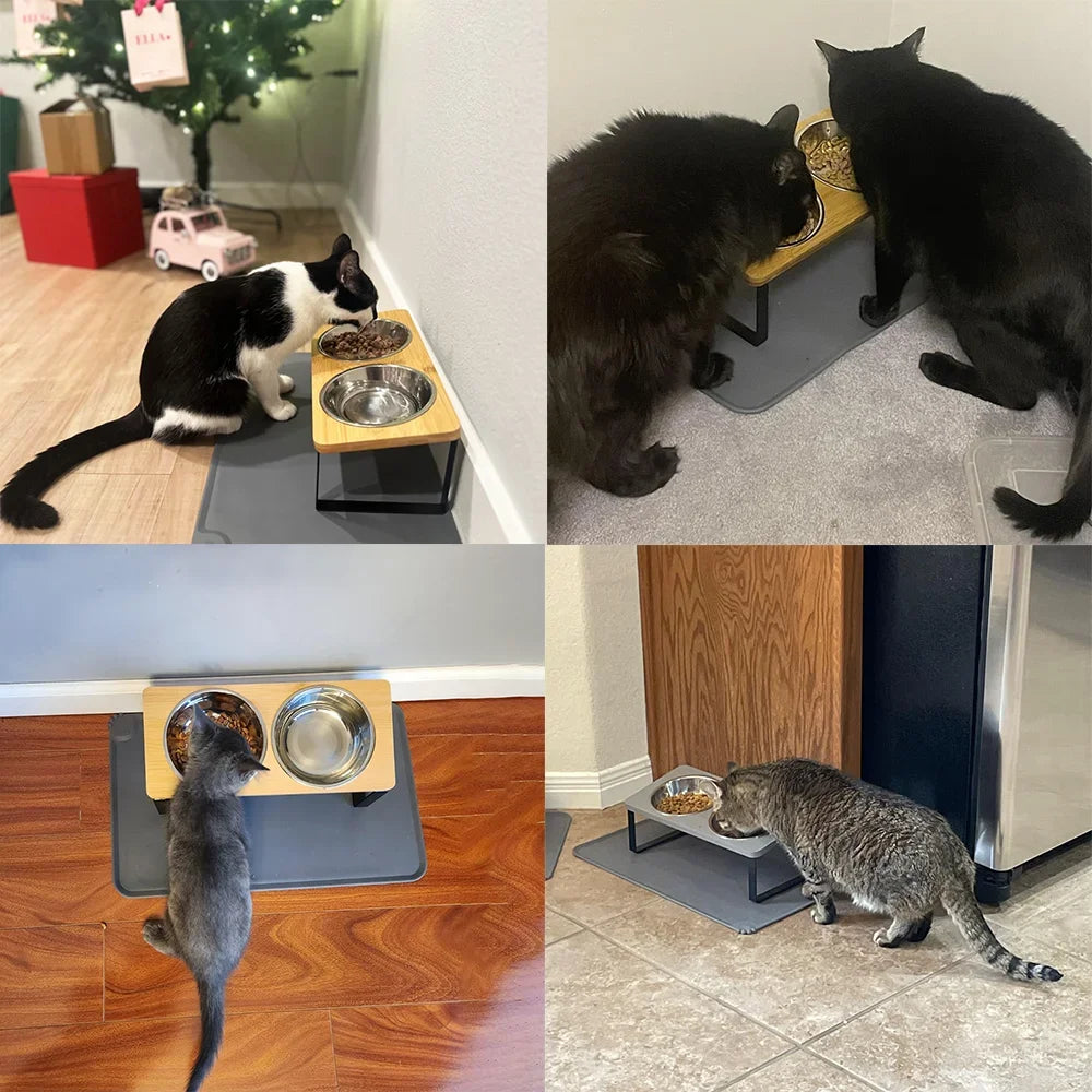 Elevated Cat Bowls 15° Tilted Raised Cat Food Bowls with Wooden Stand Anti Vomiting 2 Stainless Steel Bowls for Cats and Pupp